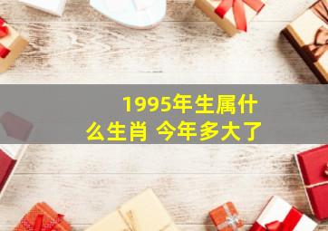 1995年生属什么生肖 今年多大了